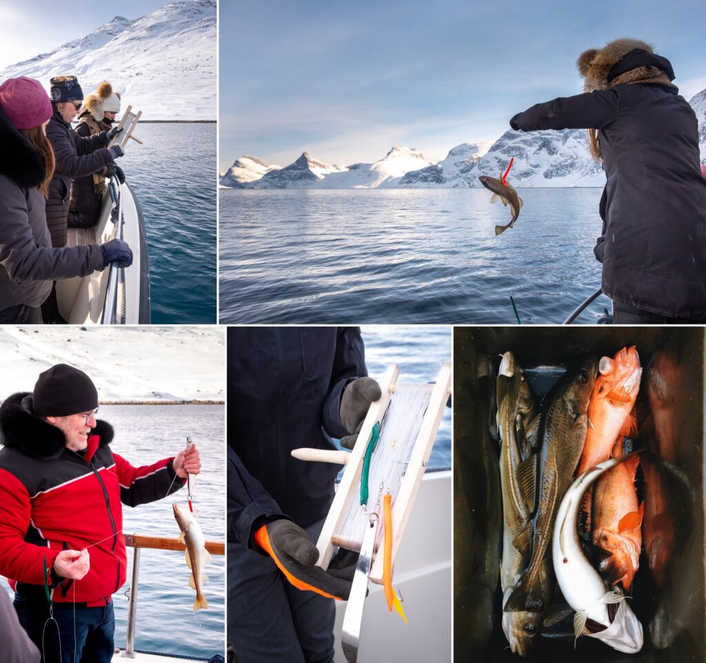 Montage of images showing fishing excursions in the Nuuk Fjord, Greenland