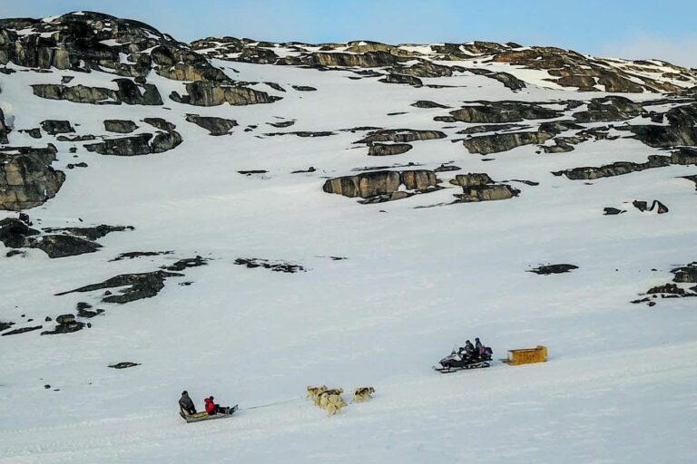 Family friendly Dogsledding Express tour | Ilulissat - Billede 2