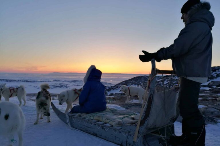 Family friendly Dogsledding Express tour | Ilulissat - Billede 4