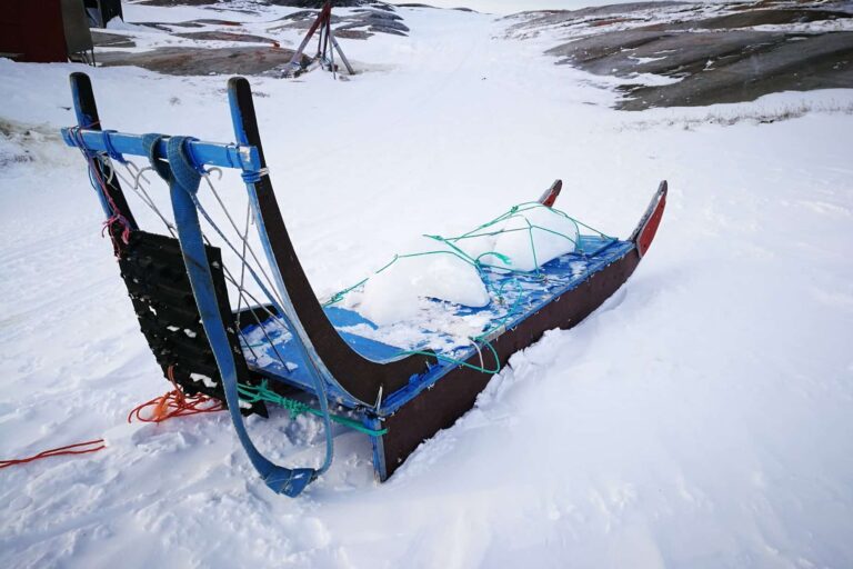 Family friendly Dogsledding Express tour | Ilulissat - Billede 9