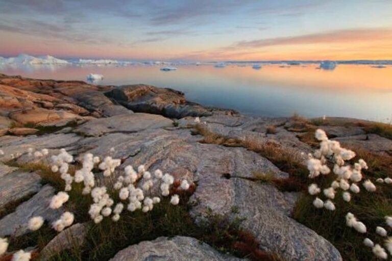 3 days Ilulissat Adventure | Ilulissat | Disko Bay - Image 5