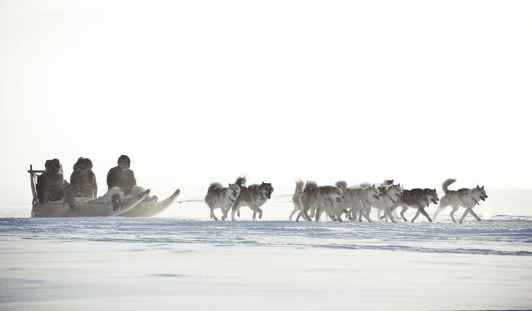 4 Day Highlights of Winter | Ilulissat | Disko Bay - Image 13
