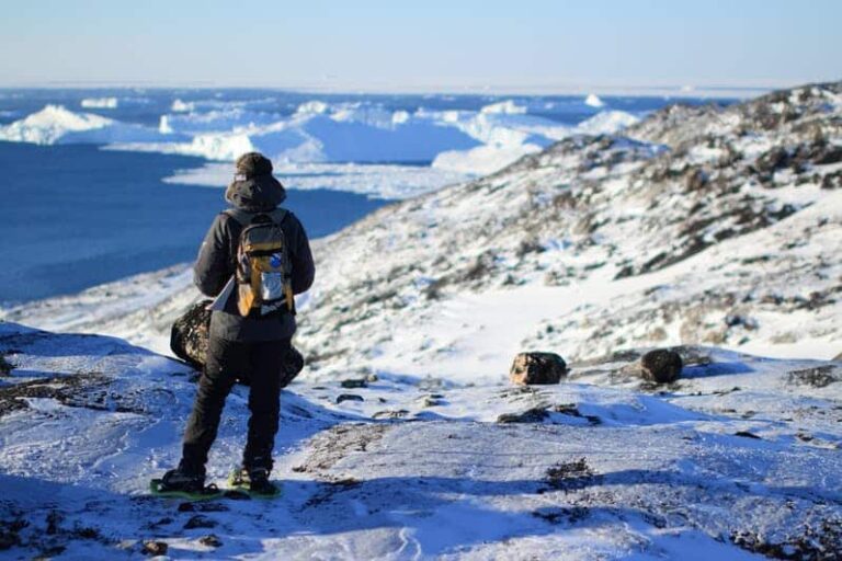 4 Day Highlights of Winter | Ilulissat | Disko Bay - Image 3