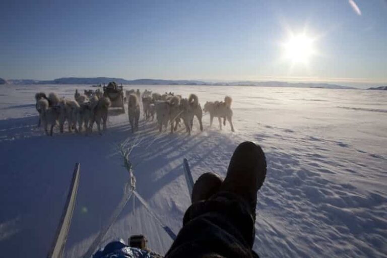 4 Day Highlights of Winter | Ilulissat | Disko Bay - Image 5