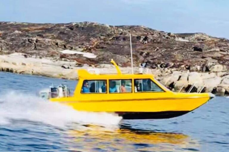 Boat charter | Closed Boat | Qasigiannguit | Disko Bay - Image 3