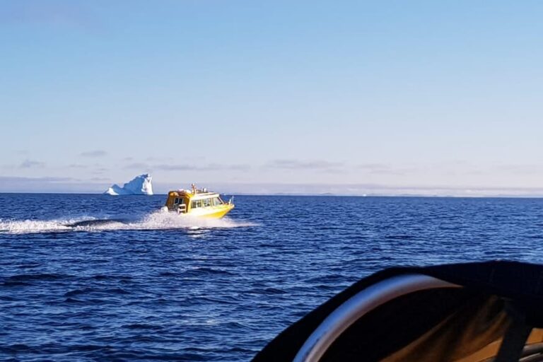 Boat charter | Closed Boat | Qasigiannguit | Disko Bay - Image 4