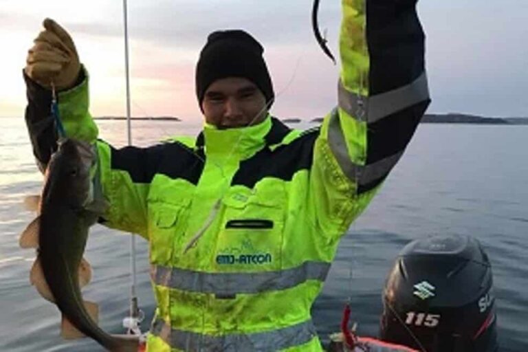 Boat charter | Closed Boat | Qasigiannguit | Disko Bay - Image 7