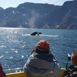 Qasigiannguit Tours