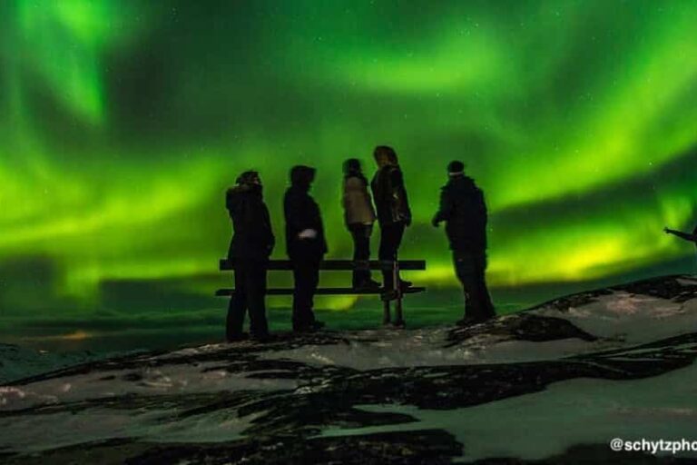 Nordlys Safari | Ilulissat | Diskobugt - Billede 7