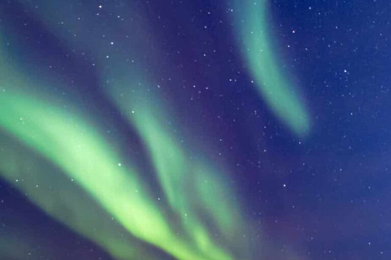 Nordlys Safari | Ilulissat | Diskobugt - Billede 5