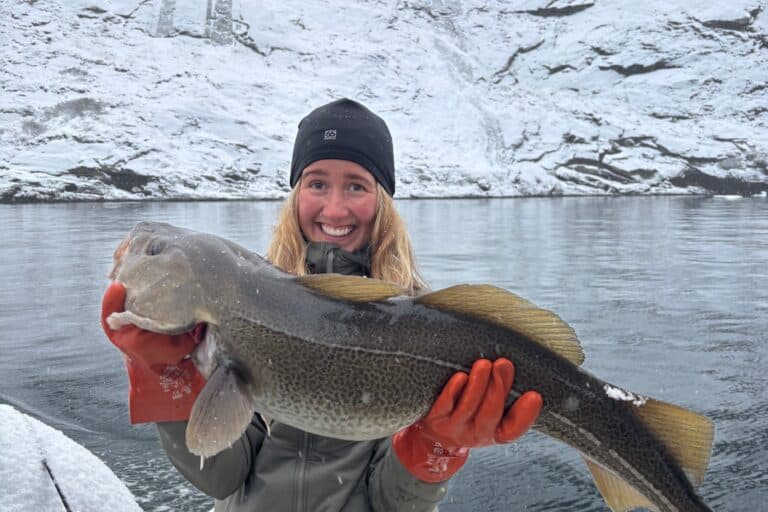 Deep Sea Fishing | Nuuk - Image 6