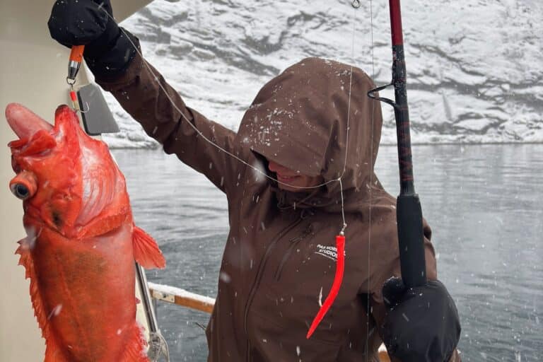 Deep Sea Fishing | Nuuk - Image 3