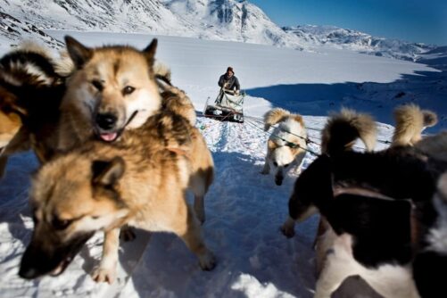 independent travel greenland