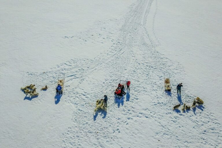 Dogsledding - 2 hours | Uummannaq | North Greenland - Image 13