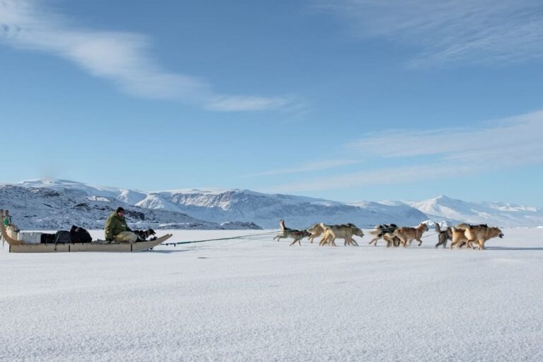 Dogsledding - 2 hours | Uummannaq | North Greenland - Image 14