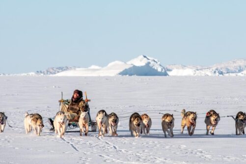 Expedition on Dogsled | 2 Days | Ilulissat