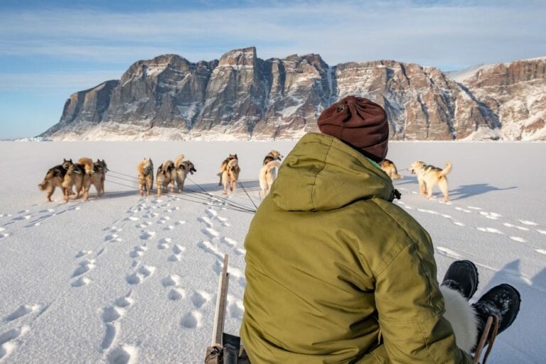 Dogsledding - 2 hours | Uummannaq | North Greenland - Image 5