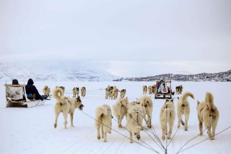 Dogsledding - 2 hours | Uummannaq | North Greenland - Image 6