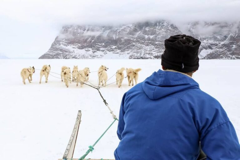 Dogsledding - 2 hours | Uummannaq | North Greenland - Image 7