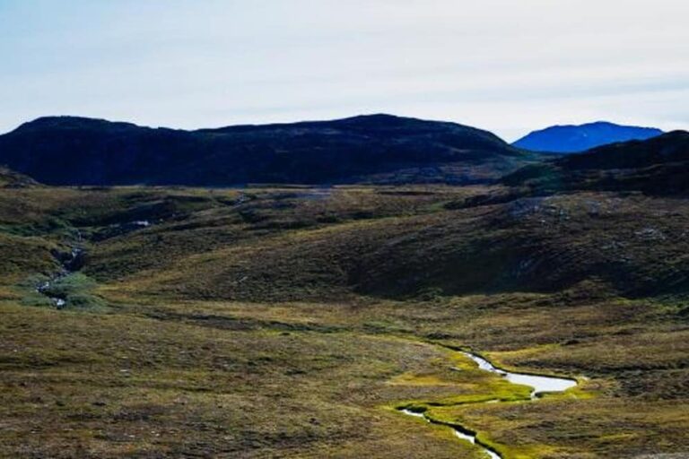 Vandretur gennem det arktiske tundra | Ilimanaq | Diskobugten - Billede 6