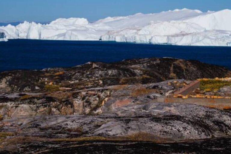 Vandretur gennem det arktiske tundra | Ilimanaq | Diskobugten - Billede 8