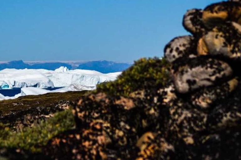 Vandretur gennem det arktiske tundra | Ilimanaq | Diskobugten - Billede 9
