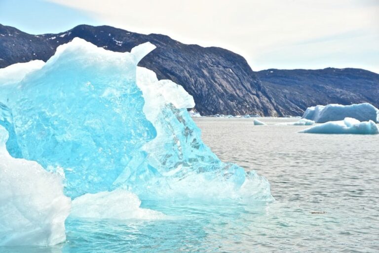 Udforsk isfjorden og en Isgrotte | Tasiilaq | Øst Grønland - Billede 8