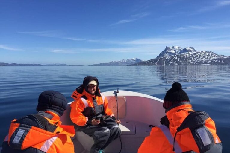 Kapisillit Settlement Tour | Nuuk - Image 6