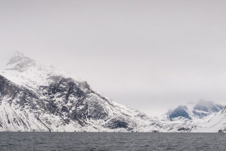 Privattur til Qoornoq Ø | Nuuk - Billede 6