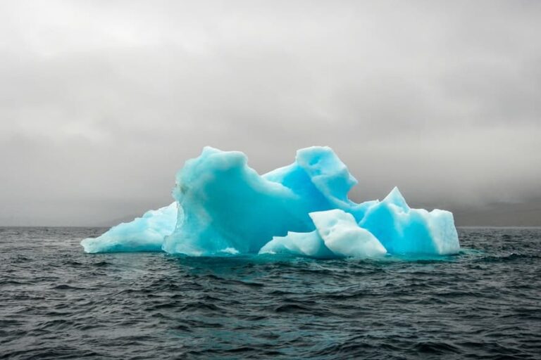 Rødfisketur | Nuuk - Billede 7