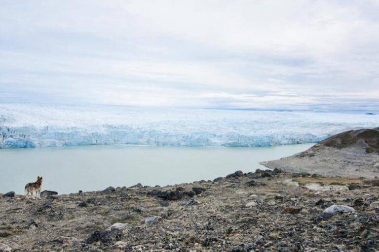 Russell Glacier BBQ | Kangerlussuaq | West Greenland - Image 11