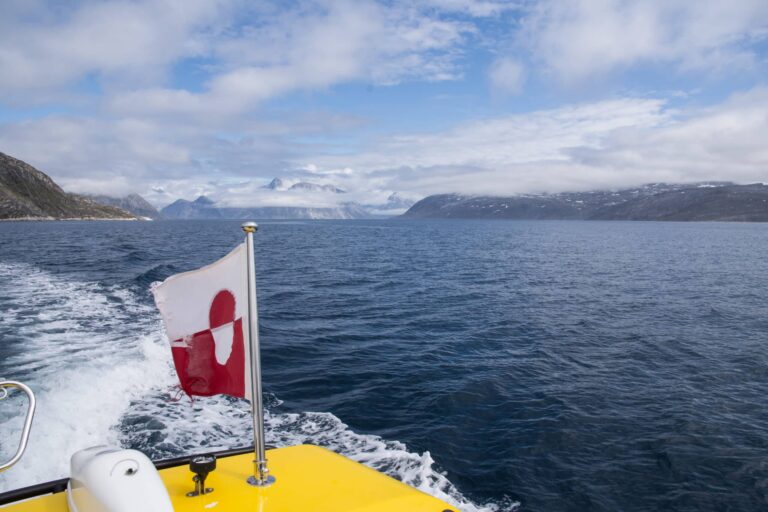 Geschlossene Boot Fjord-Abenteuer | Nuuk - Image 13