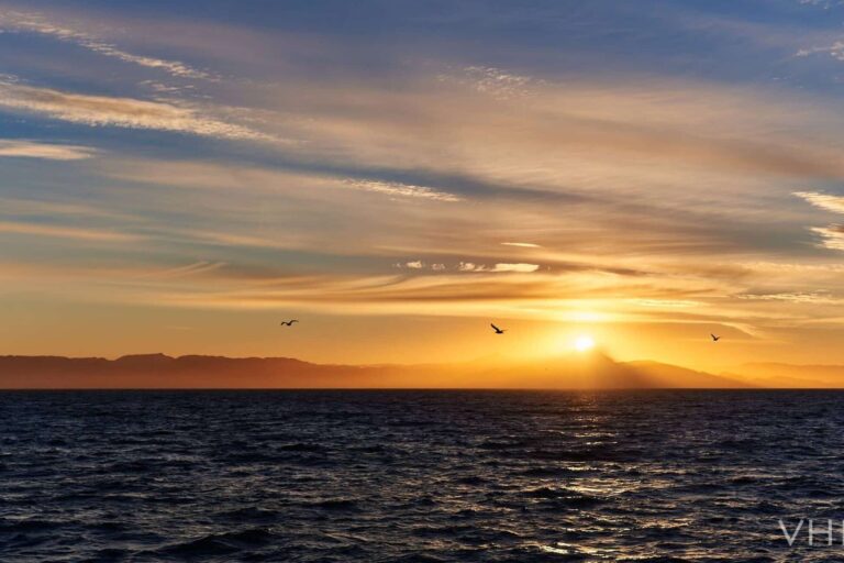 Icefjord Affair | Private tour | Nuuk - Image 3