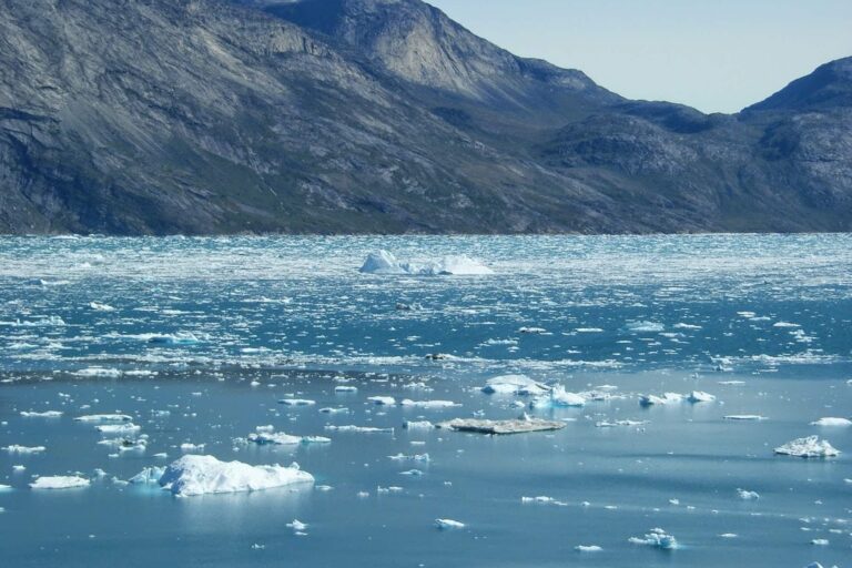 Icefjord Affair | Private tour | Nuuk - Image 6