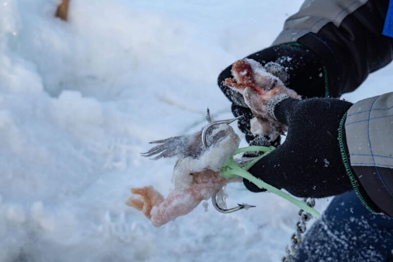 Ice Fishing | Kangerlussuaq | West Greenland - Image 9