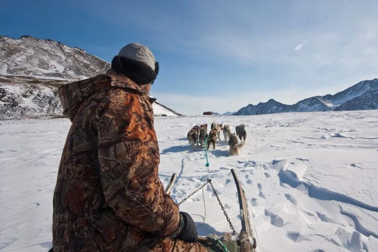 Arctic Wildlife Safari | 8 Days | Ittoqqortoormiit | East Greenland - Image 2