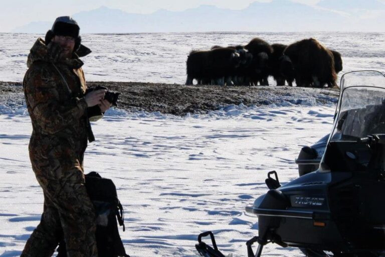 Arctic Wildlife Safari | 8 Days | Ittoqqortoormiit | East Greenland - Image 15