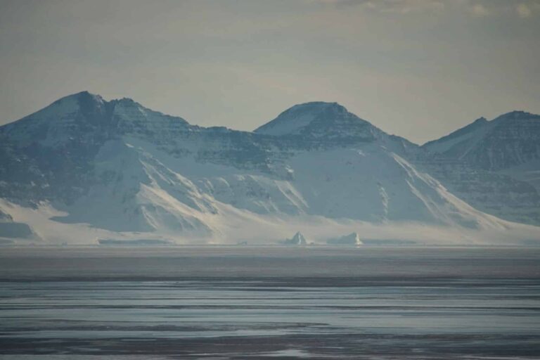 Arctic Wildlife Safari | 8 Days | Ittoqqortoormiit | East Greenland - Image 21