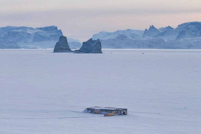 Arctic Wildlife Safari | 8 Days | Ittoqqortoormiit | East Greenland - Image 22