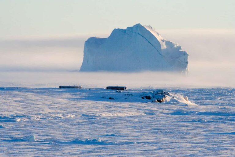 Arctic Wildlife Safari | 8 Days | Ittoqqortoormiit | East Greenland - Image 23