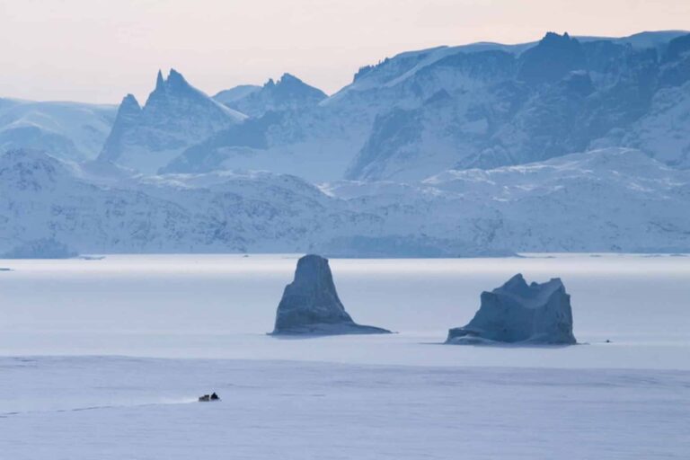 Arctic Wildlife Safari | 8 Days | Ittoqqortoormiit | East Greenland - Image 24