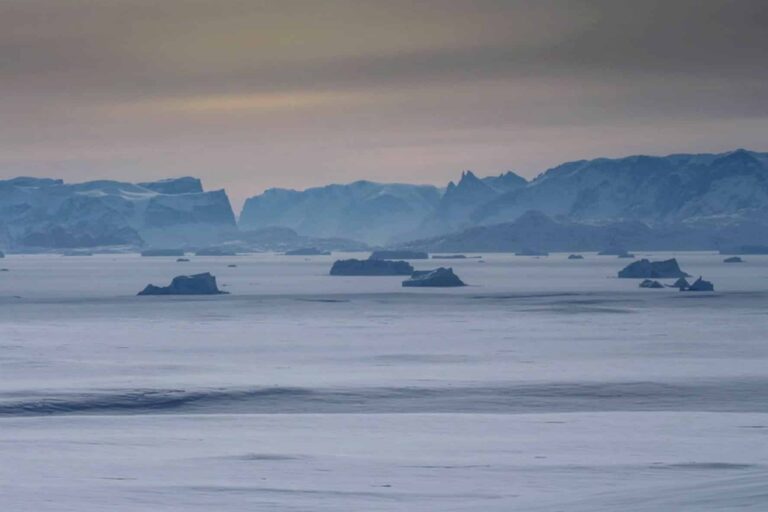 Arctic Wildlife Safari | 8 Days | Ittoqqortoormiit | East Greenland - Image 25