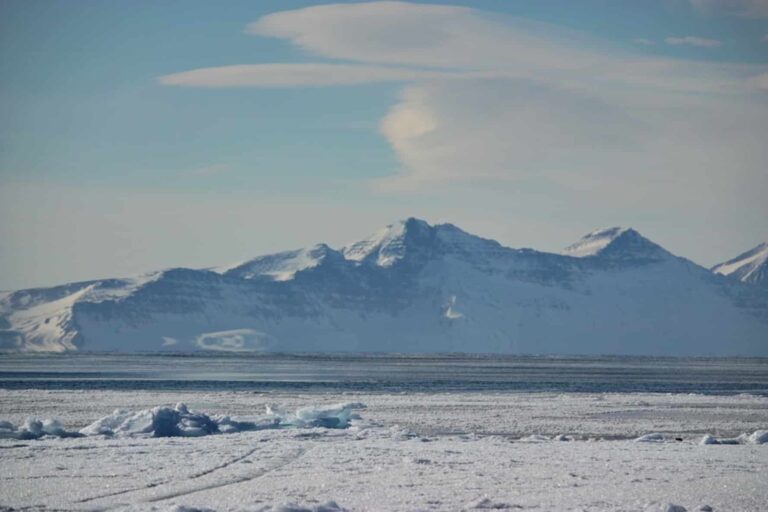 Arctic Wildlife Safari | 8 Days | Ittoqqortoormiit | East Greenland - Image 26