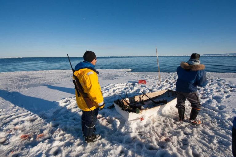 Arctic Wildlife Safari | 8 Days | Ittoqqortoormiit | East Greenland - Image 29