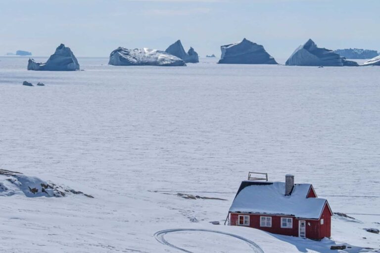 Arctic Wildlife Safari | 8 Days | Ittoqqortoormiit | East Greenland - Image 31