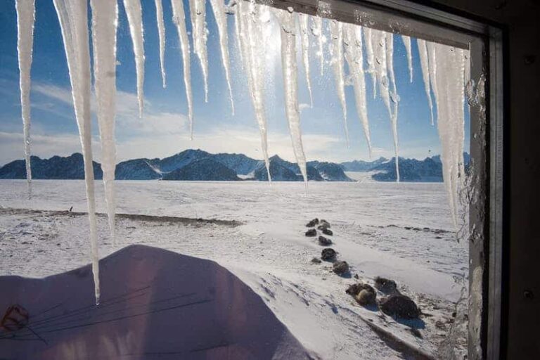 Arctic Wildlife Safari | 8 Days | Ittoqqortoormiit | East Greenland - Image 36