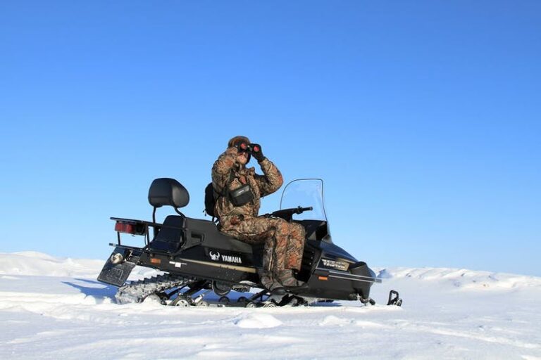 Arctic Wildlife Safari | 8 Days | Ittoqqortoormiit | East Greenland - Image 38