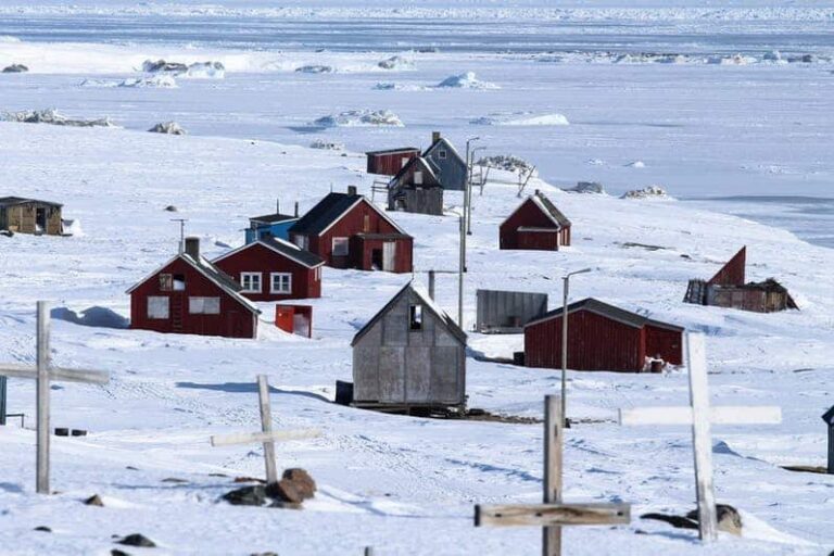 Arctic Wildlife Safari | 8 Days | Ittoqqortoormiit | East Greenland - Image 39