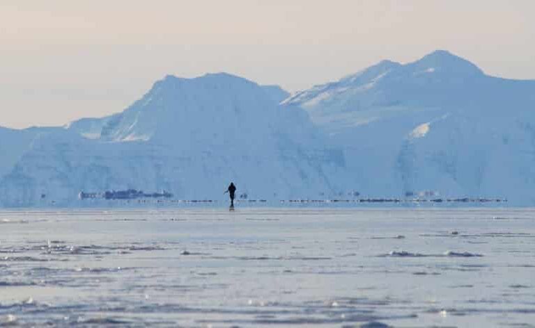 Arctic Wildlife Safari | 8 Days | Ittoqqortoormiit | East Greenland - Image 42
