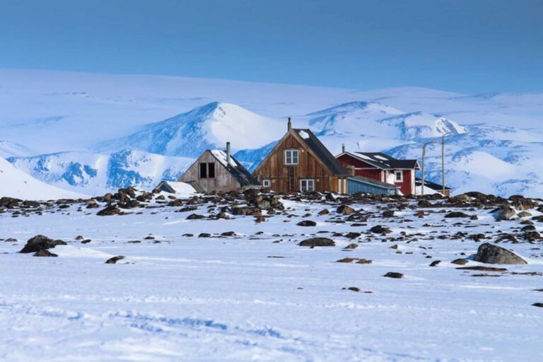 Arctic Wildlife Safari | 8 Days | Ittoqqortoormiit | East Greenland - Image 10